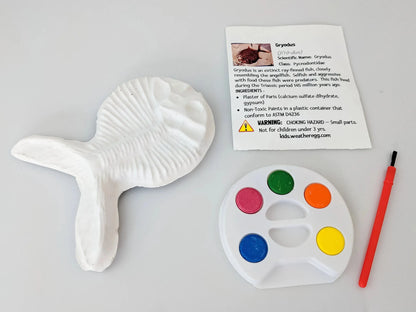 Fossilz: Paint Fossils-Morganite Gems