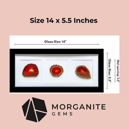 Framed Agate Slice Wall Art Unique Gemstone Wall Decor