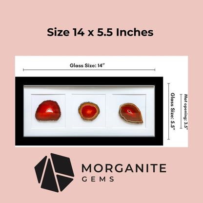Framed Agate Slice Wall Art Unique Gemstone Wall Decor