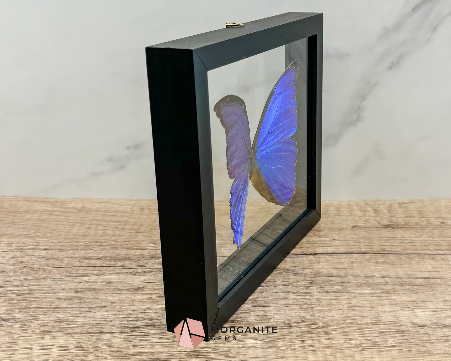 Framed Blue Morpho Butterfly – Exquisite Natural Art for Your Home-Morganite Gems