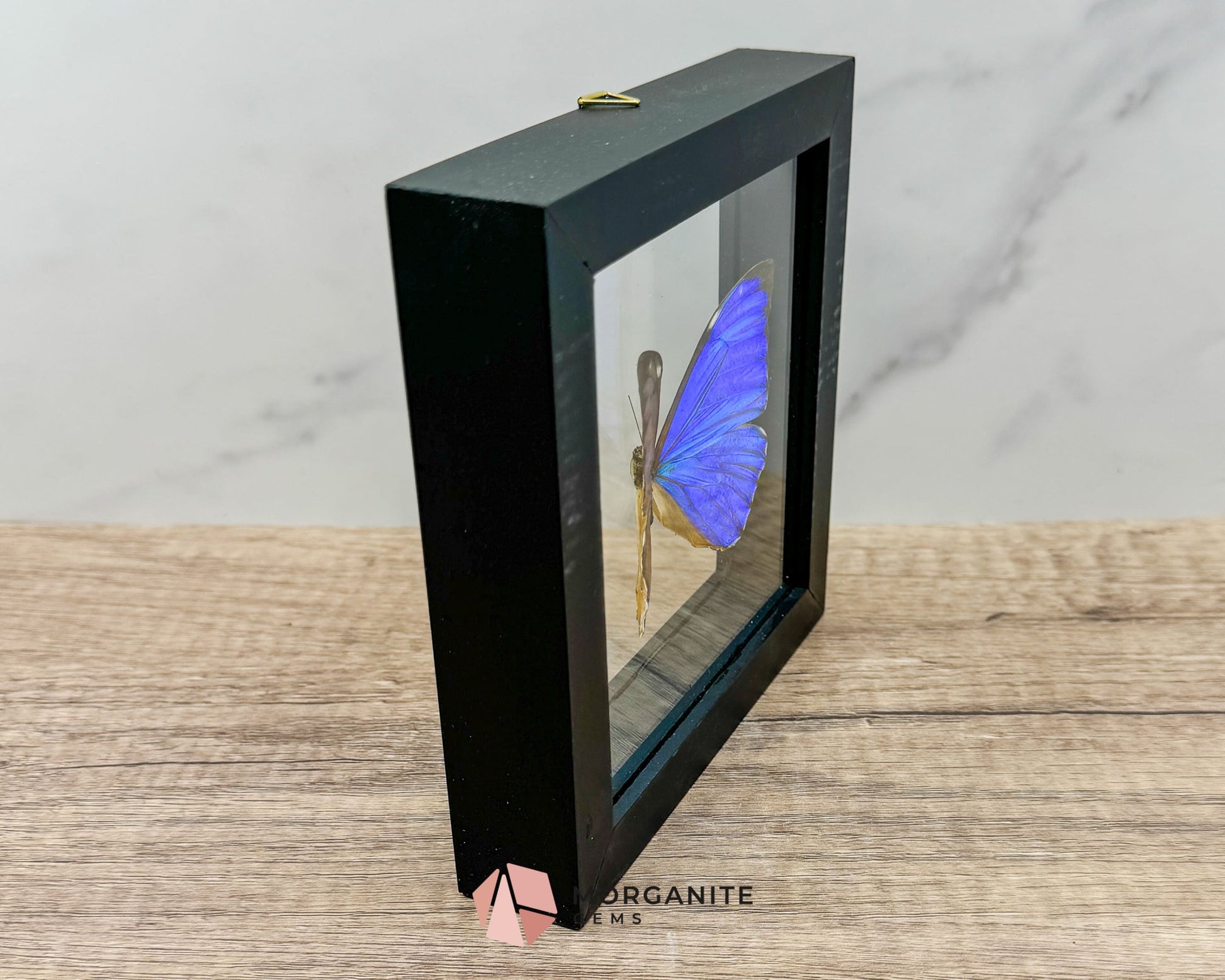 Framed Blue Morpho Butterfly – Exquisite Natural Art for Your Home-Morganite Gems