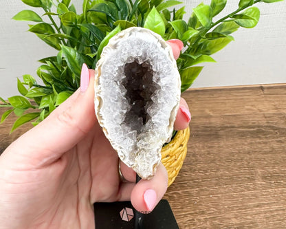 Geode Specimen on Metal Stand - Natural Crystal Display for Healing and Home Decor-Morganite Gems