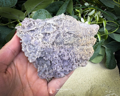 Grape Agate Cluster Specimen 190g – Purple Botryoidal Chalcedony for Meditation & Healing - Metaphysical Crystals