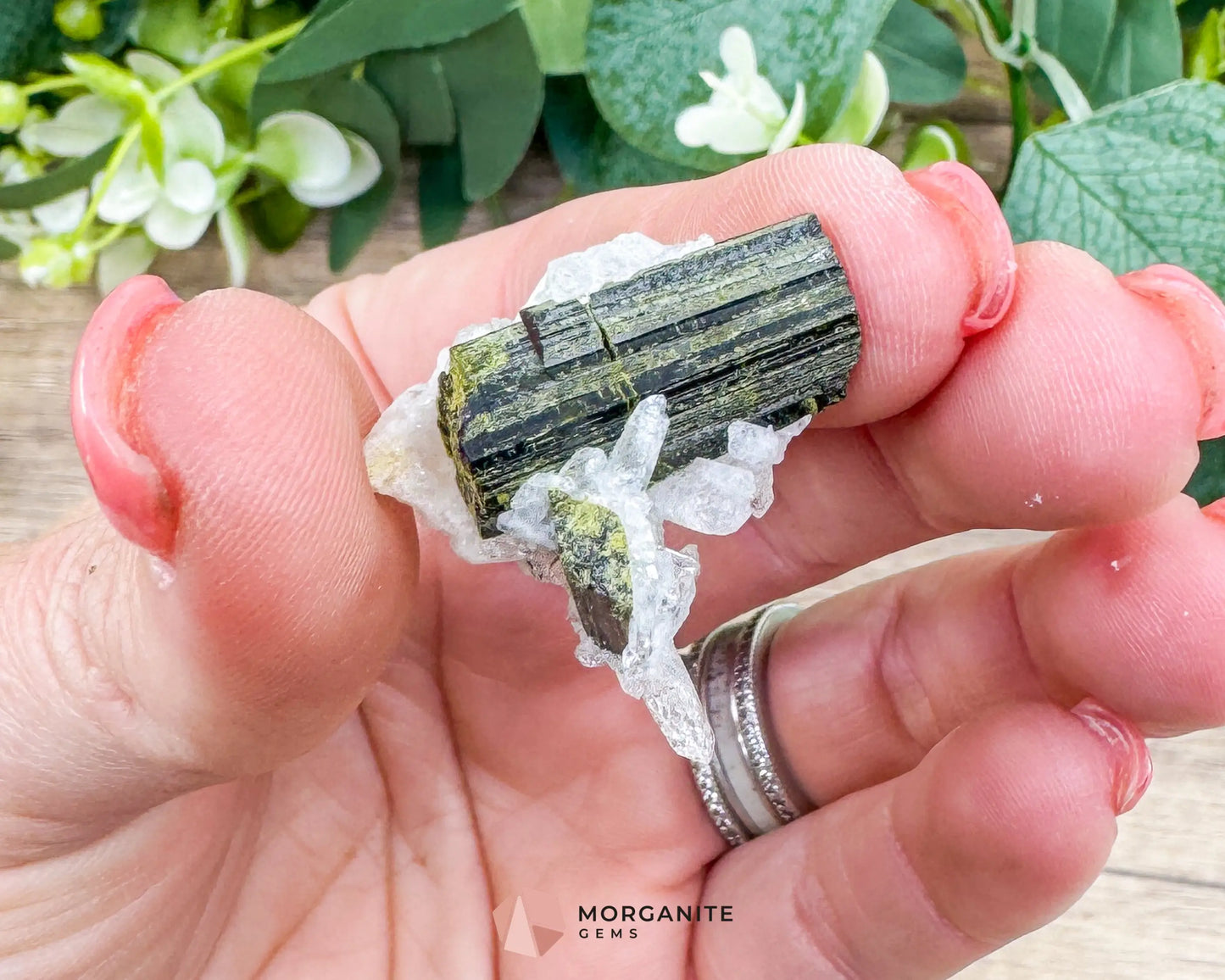 Epidote Crystal with Quartz – Natural Specimen in Clear Display Case 2g (29×29×13 mm) – Capelinha Minas Gerais Brazil