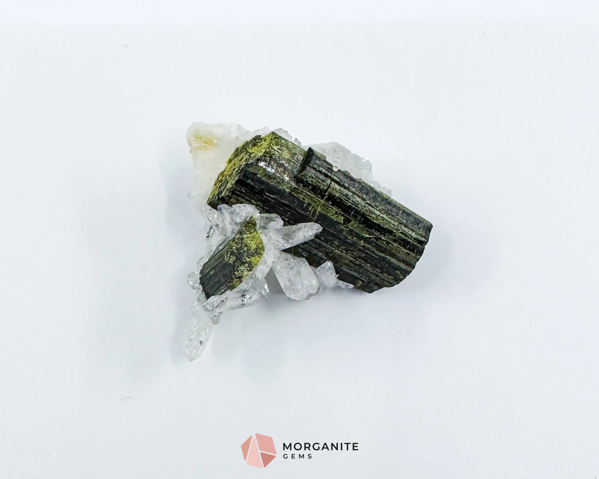 Epidote Crystal with Quartz – Natural Specimen in Clear Display Case 2g (29×29×13 mm) – Capelinha Minas Gerais Brazil