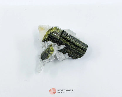 Epidote Crystal with Quartz – Natural Specimen in Clear Display Case 2g (29×29×13 mm) – Capelinha Minas Gerais Brazil