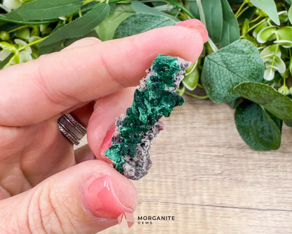 Malachite Cobaltoan Dolomite Quartz – Natural Specimen 1.77g (37×14mm) – Display Case Included - Metaphysical Crystals
