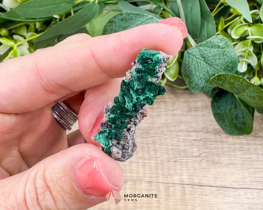 Malachite Cobaltoan Dolomite Quartz – Natural Specimen 1.77g (37×14mm) – Display Case Included - Metaphysical Crystals