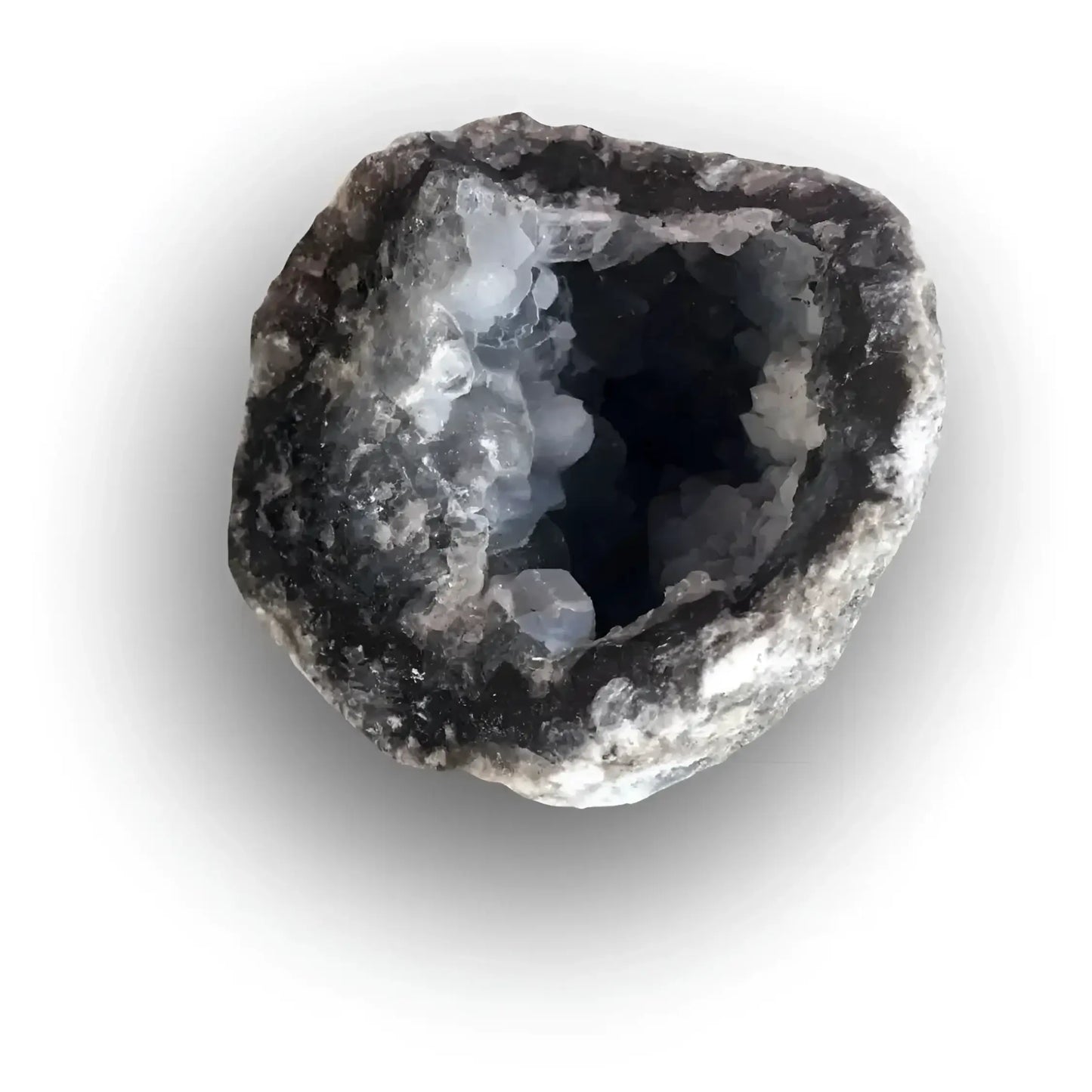 Green Dot Fossil-Morganite Gems