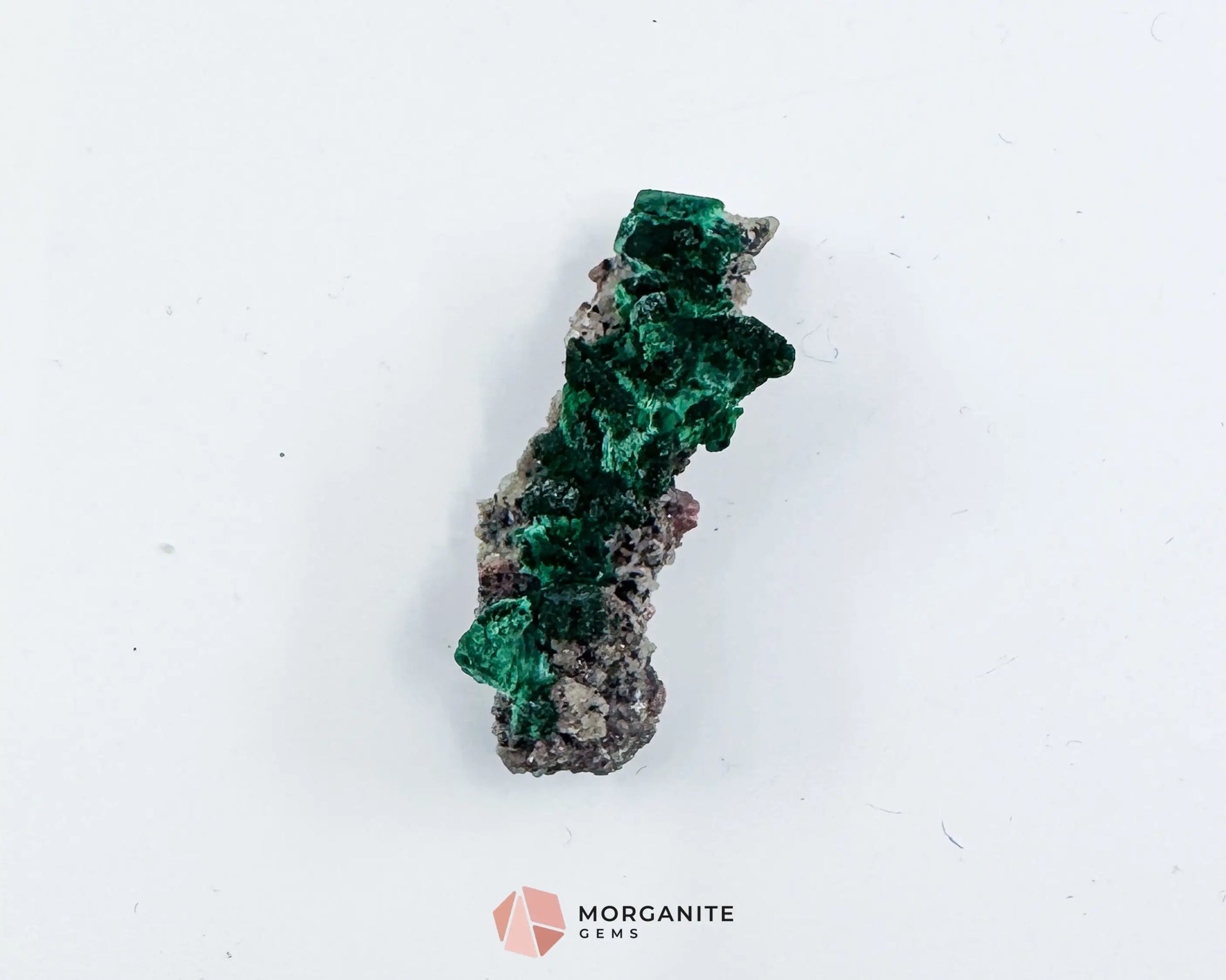 Malachite Cobaltoan Dolomite Quartz – Natural Specimen 1.77g (37×14mm) – Display Case Included - Metaphysical Crystals