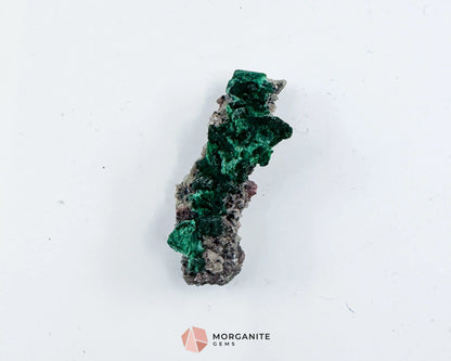 Malachite Cobaltoan Dolomite Quartz – Natural Specimen 1.77g (37×14mm) – Display Case Included - Metaphysical Crystals