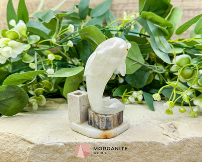 Hand-Carved Dolphin Crystal Sculpture (205g) on Mixed Stone Base with Pen/Wand Holder - Metaphysical Crystals