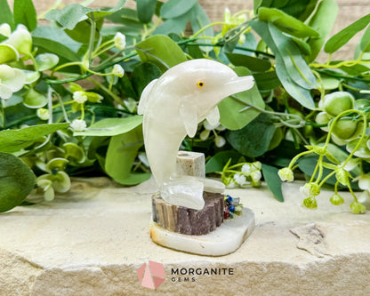Hand-Carved Dolphin Crystal Sculpture (205g) on Mixed Stone Base with Pen/Wand Holder - Metaphysical Crystals