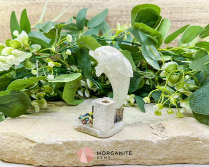 Hand-Carved Dolphin Crystal Sculpture (205g) on Mixed Stone Base with Pen/Wand Holder - Metaphysical Crystals