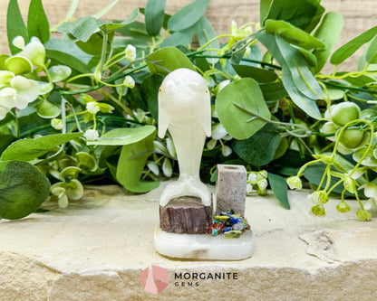 Hand-Carved Dolphin Crystal Sculpture (205g) on Mixed Stone Base with Pen/Wand Holder - Metaphysical Crystals