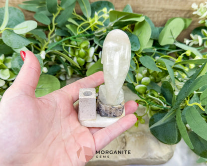 Hand-Carved Dolphin Crystal Sculpture (205g) on Mixed Stone Base with Pen/Wand Holder - Metaphysical Crystals