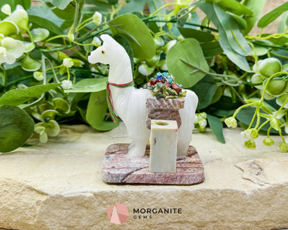 Hand-Carved Llama Crystal Pen Holder (228g) - White Stone Sculpture for Focus & Endurance - Metaphysical Crystals