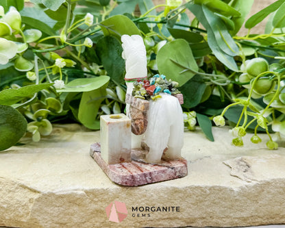 Hand-Carved Llama Crystal Pen Holder (228g) - White Stone Sculpture for Focus & Endurance - Metaphysical Crystals