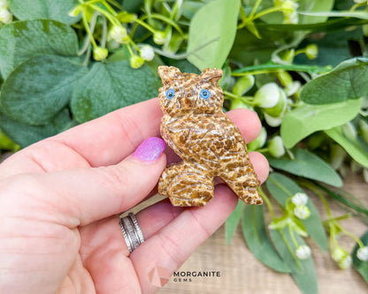 Hand-Carved Soapstone Owls (2”) – Unique & Symbolic Spirit Animal Figurines - Metaphysical Crystals