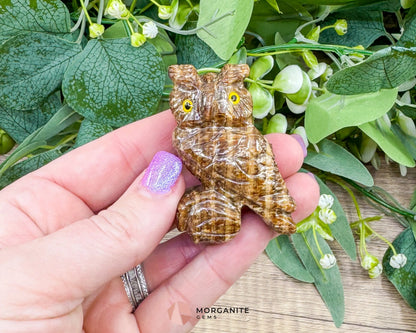 Hand-Carved Soapstone Owls (2”) – Unique & Symbolic Spirit Animal Figurines - Metaphysical Crystals