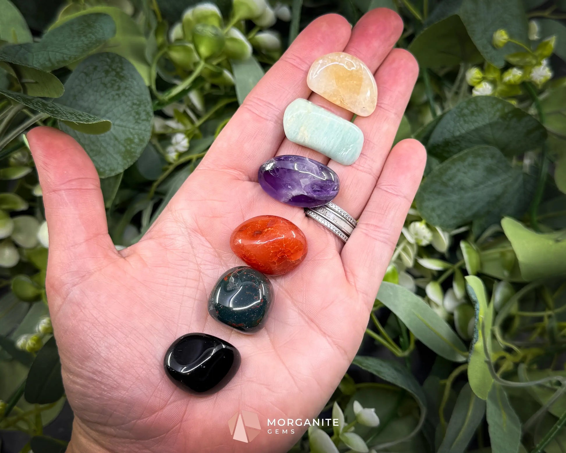 Aries Zodiac Crystal Set | 6 Gemstones + Selenite Spiral Cage & Gift Box - Metaphysical Crystals