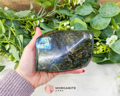 High-Flash Labradorite Polished Freeform No. 11 (928g) – Extra Large ’Stone of Transformation’ Specimen - Metaphysical