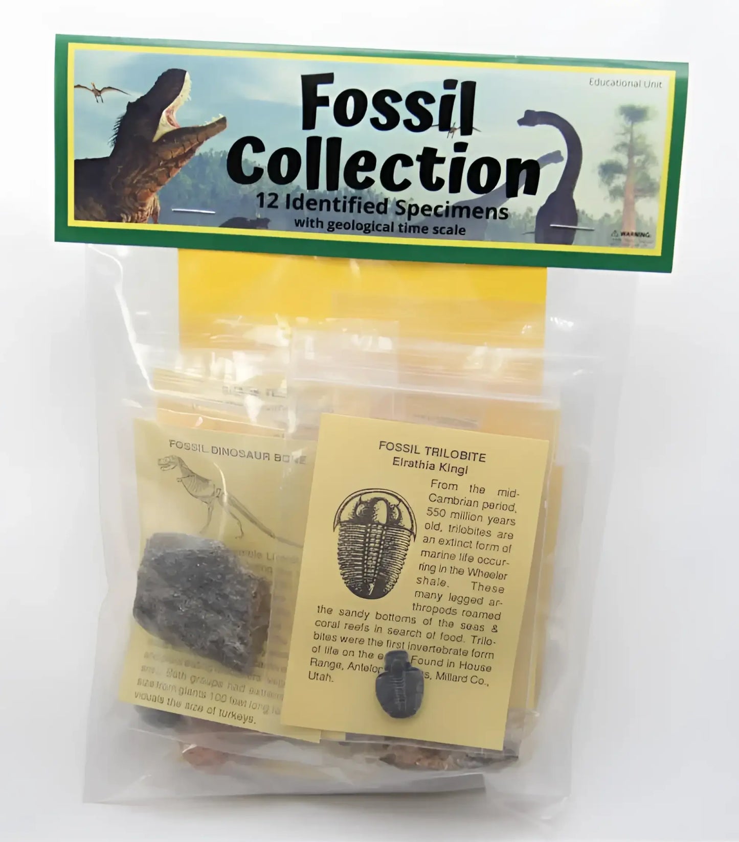 Kids Educational Kit-Morganite Gems