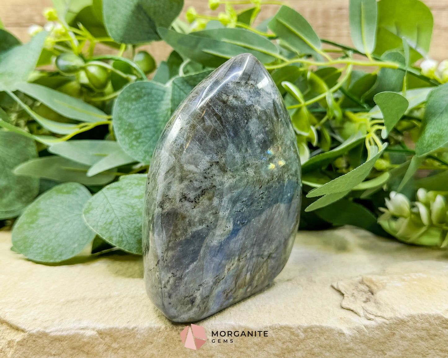Labradorite Freeform No.5 – 1.7lb Polished Standing Crystal for Intuition Protection & Inner Transformation