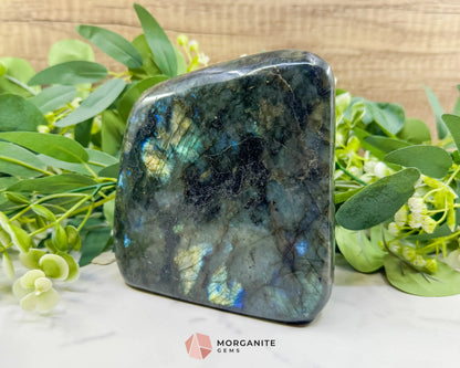Labradorite Freeform No.9 – 1.37kg Polished Standing Crystal for Intuition Transformation & Energy Shielding