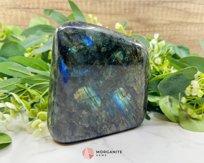 Labradorite Freeform No.9 – 1.37kg Polished Standing Crystal for Intuition Transformation & Energy Shielding