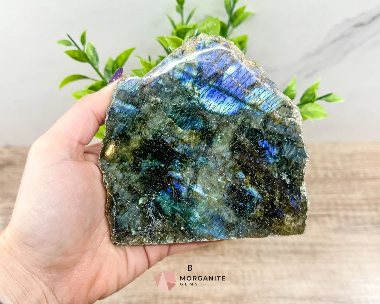 Labradorite One Polish Side Free Form-Morganite Gems