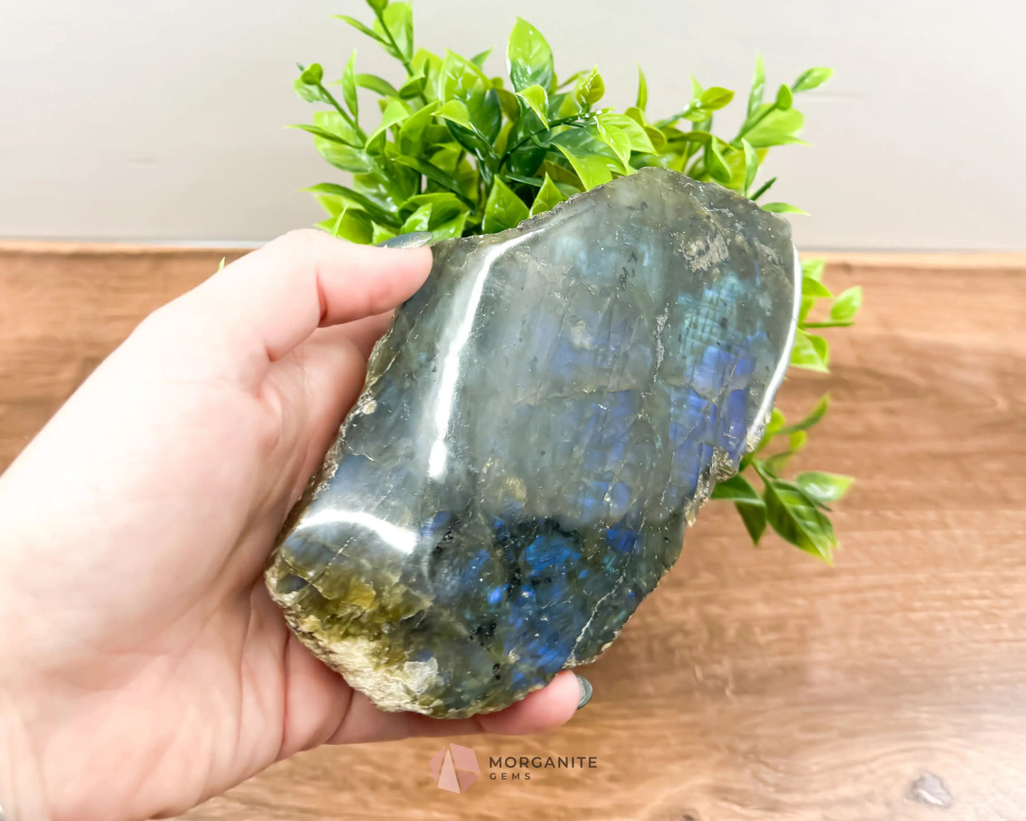 Labradorite One Polish Side Free Form-Morganite Gems