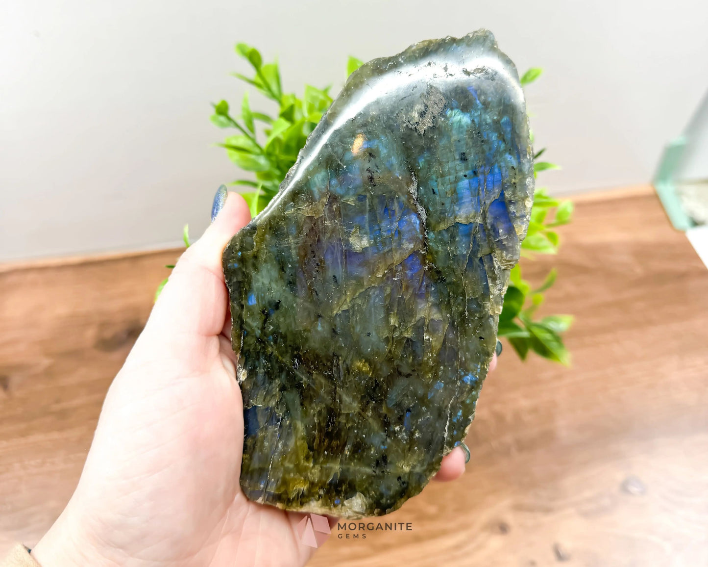 Labradorite One Polish Side Free Form-Morganite Gems