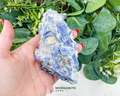 Large Blue Kyanite & Quartz Cluster (520g) – Raw Bladed Crystal Specimen for Energy Alignment - Metaphysical Crystals