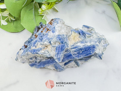 Large Blue Kyanite & Quartz Cluster (520g) – Raw Bladed Crystal Specimen for Energy Alignment - Metaphysical Crystals