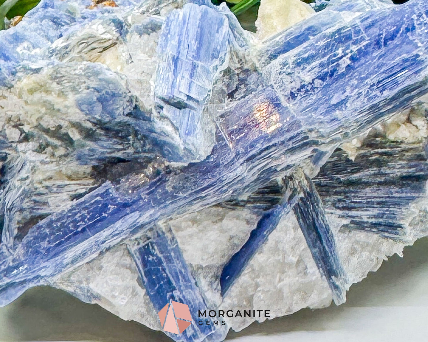 Large Blue Kyanite & Quartz Cluster (520g) – Raw Bladed Crystal Specimen for Energy Alignment - Metaphysical Crystals