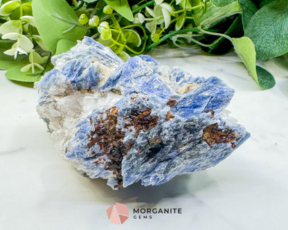 Large Blue Kyanite & Quartz Cluster (520g) – Raw Bladed Crystal Specimen for Energy Alignment - Metaphysical Crystals
