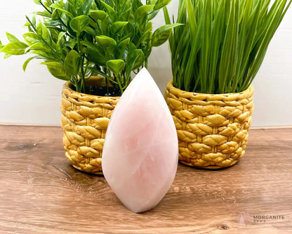 Large Rose Quartz Flame-Morganite Gems