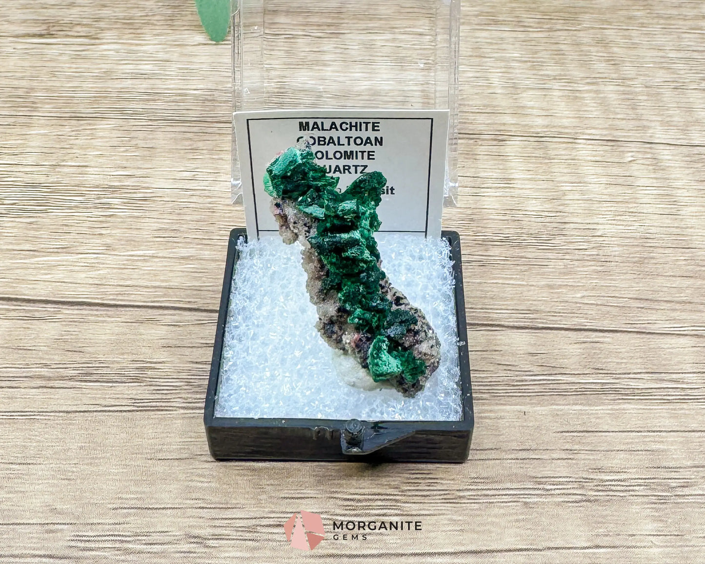 Malachite Cobaltoan Dolomite Quartz – Natural Specimen 1.77g (37×14mm) – Display Case Included - Metaphysical Crystals