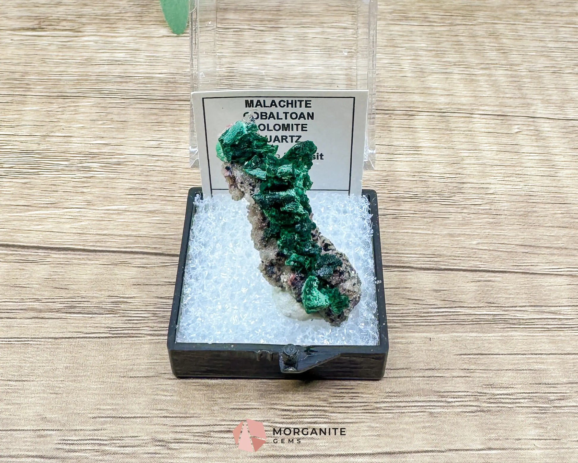Malachite Cobaltoan Dolomite Quartz – Natural Specimen 1.77g (37×14mm) – Display Case Included - Metaphysical Crystals
