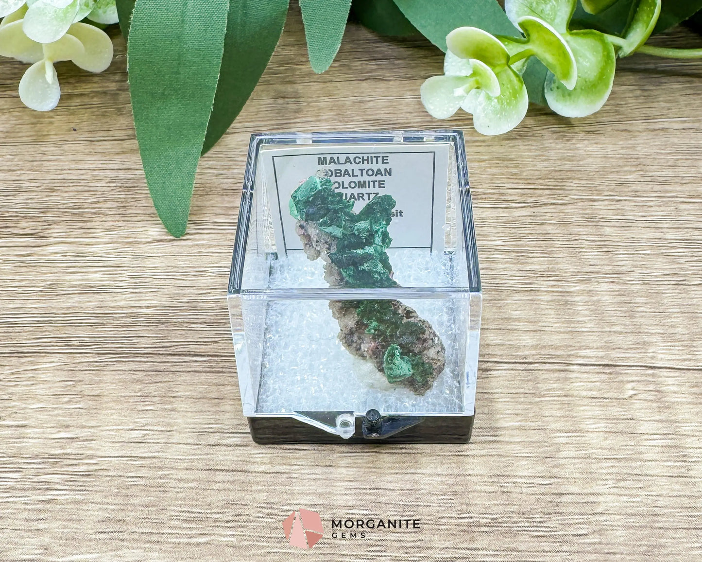Malachite Cobaltoan Dolomite Quartz – Natural Specimen 1.77g (37×14mm) – Display Case Included - Metaphysical Crystals
