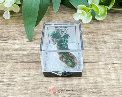 Malachite Cobaltoan Dolomite Quartz – Natural Specimen 1.77g (37×14mm) – Display Case Included - Metaphysical Crystals