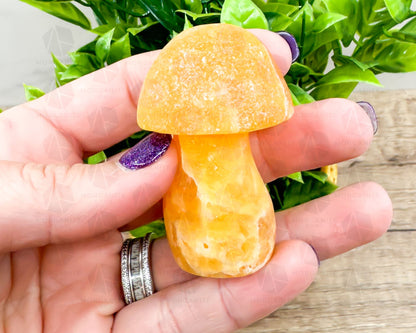 Mexican Onyx Mushroom Carving – Handcrafted Symbol of Balance and Strength-Morganite Gems