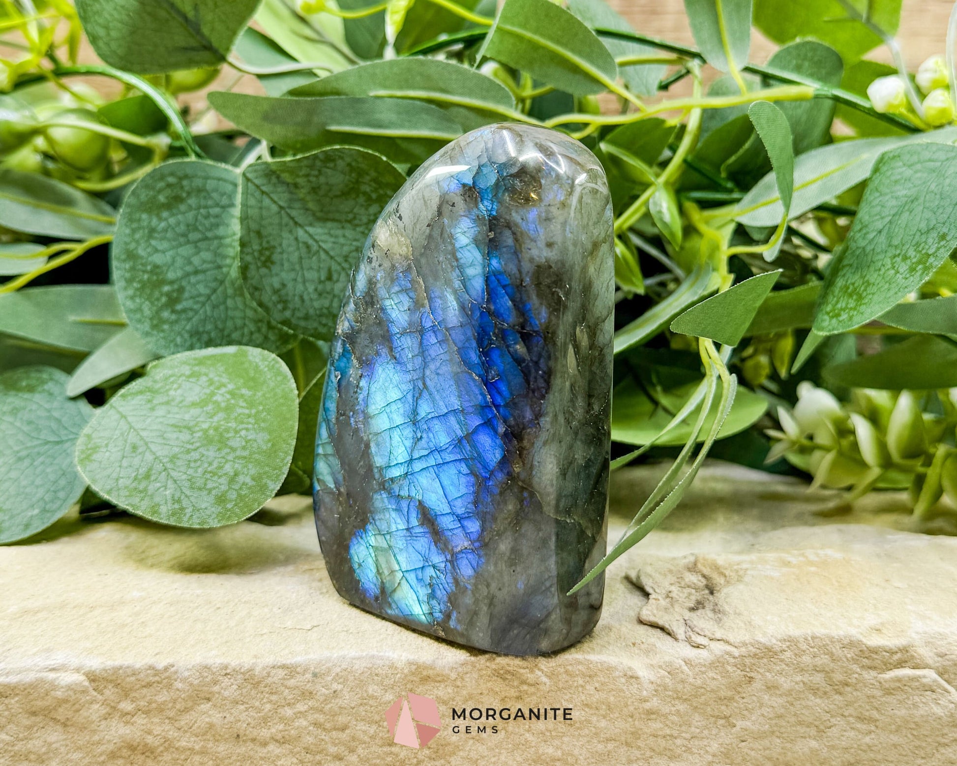 Midnight Electric Labradorite Freeform No. 7 – 0.74 lb High‑Flash Crystal for Transformation & Spiritual Awakening