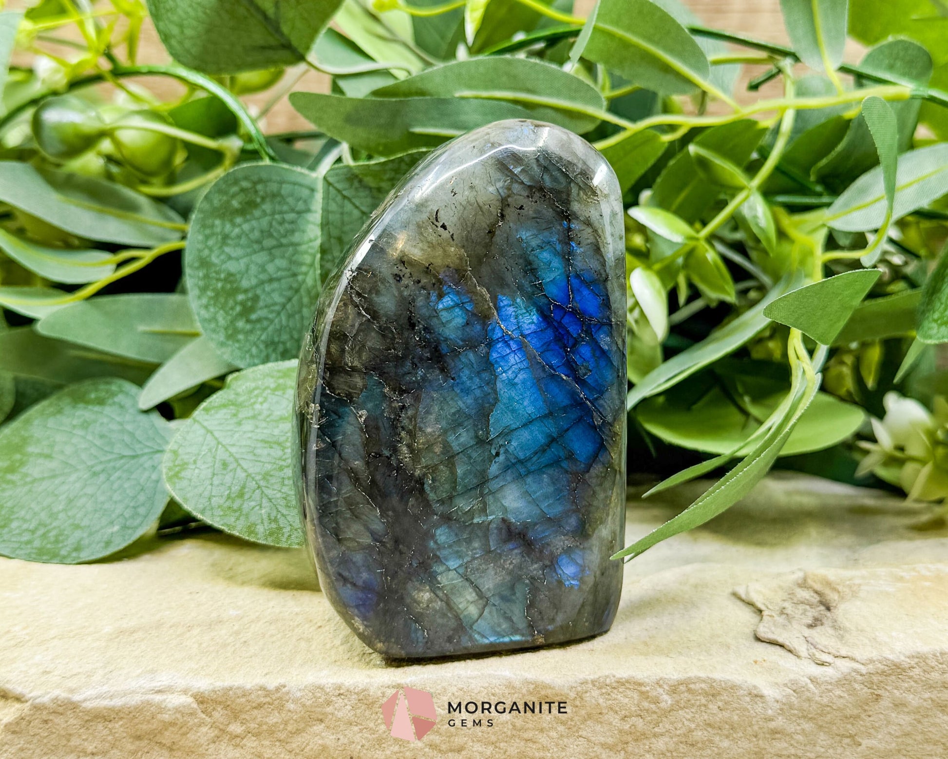 Midnight Electric Labradorite Freeform No. 7 – 0.74 lb High‑Flash Crystal for Transformation & Spiritual Awakening