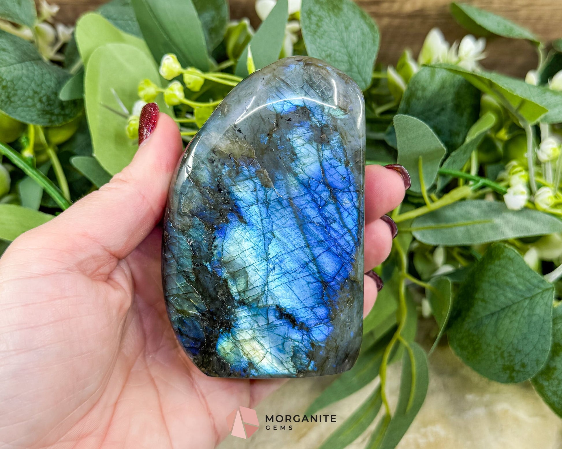 Midnight Electric Labradorite Freeform No. 7 – 0.74 lb High‑Flash Crystal for Transformation & Spiritual Awakening