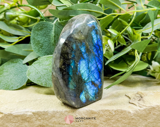 Midnight Electric Labradorite Freeform No. 7 – 0.74 lb High‑Flash Crystal for Transformation & Spiritual Awakening