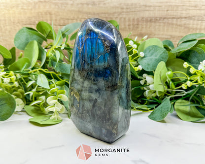 Midnight Electric Labradorite Freeform No. 7 | High‑Flash Crystal for Transformation & Spiritual Awakening