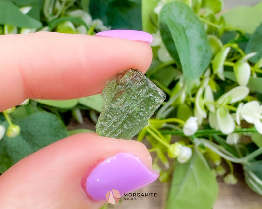 Moldavite Specimen No. 3 | Genuine Czech Tektite for Transformation Protection & Spiritual Acceleration - Metaphysical