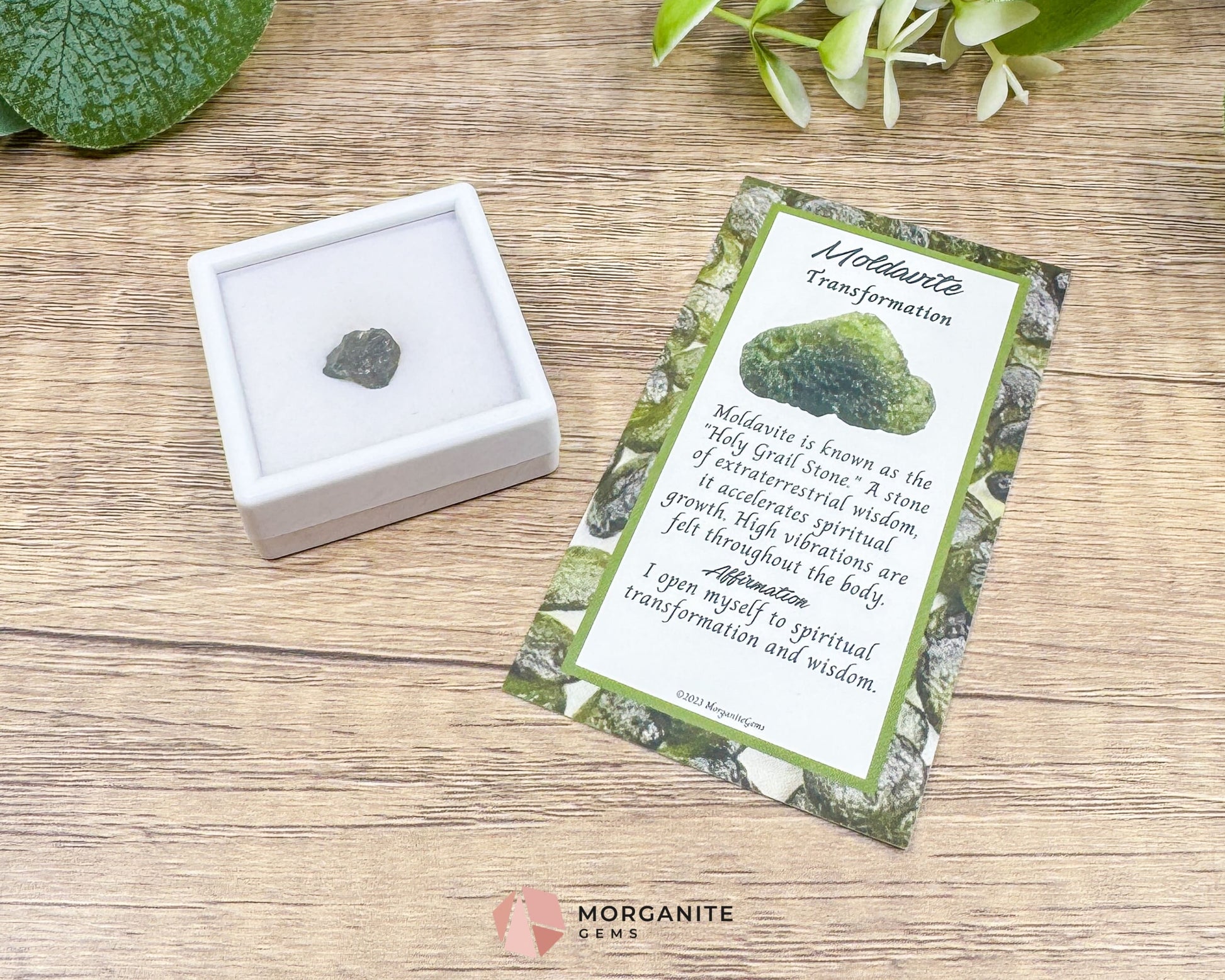 Moldavite Specimen No. 6 | Genuine Czech Tektite for Spiritual Awakening Intuition & Energetic Protection